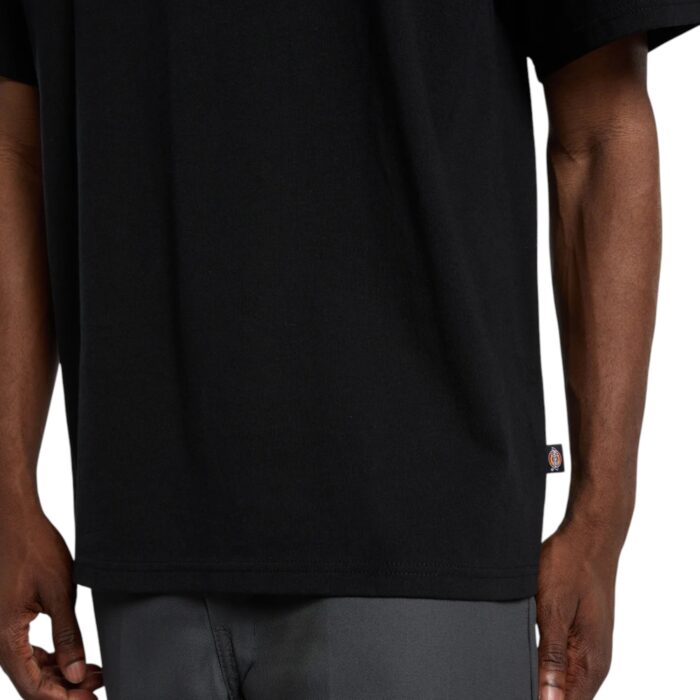 DICKIES FAIRLAWN T-SHIRT BLACK - Image 5