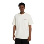 DICKIES FAIRLAWN T-SHIRT EGRET