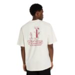 DICKIES FAIRLAWN T-SHIRT EGRET - Image 2