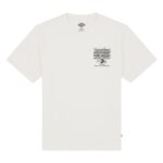 DICKIES LYNNDYL T-SHIRT EGRET - Image 5