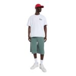 DICKIES POLK T-SHIRT WHITE - Image 7