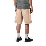 CARHARTT WIP BRANDON SHORT BARCHAN STONE DYED - Image 2