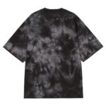 CARHARTT WIP RADIATE T-SHIRT YOSEMITE OBSIDIAN - Image 2