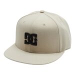 DC EMPIRE SNAPBACK CAP BIRCH