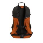 BURTON DAY HIKER 22L BACKPACK SPICED CHAI - Εικόνα 2