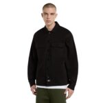 DICKIES 247 SHACKET BLACK