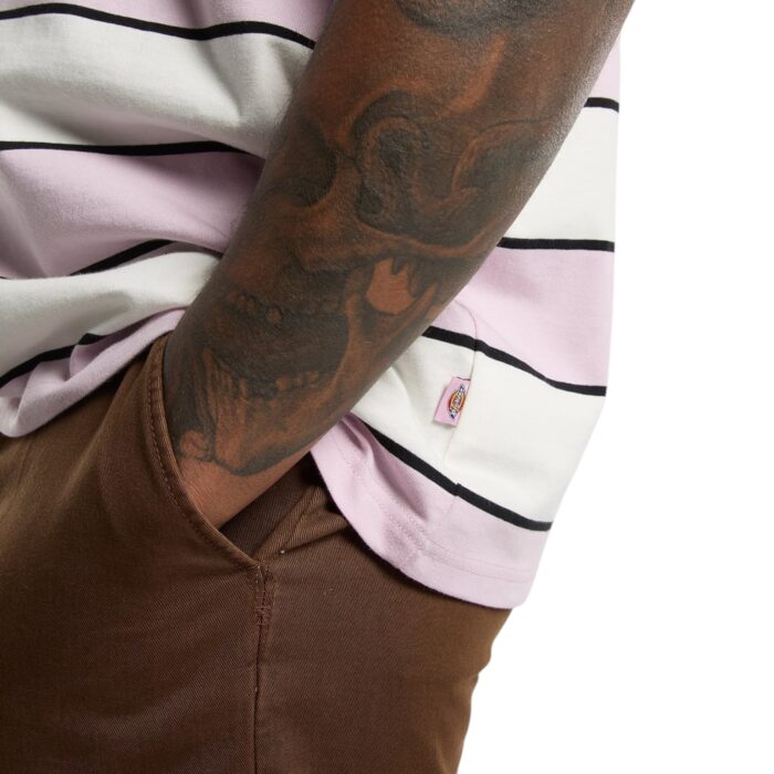 DICKIES EMBROIDERY STRIPE T-SHIRT ECRU - Εικόνα 4
