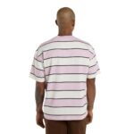 DICKIES EMBROIDERY STRIPE T-SHIRT ECRU - Εικόνα 2