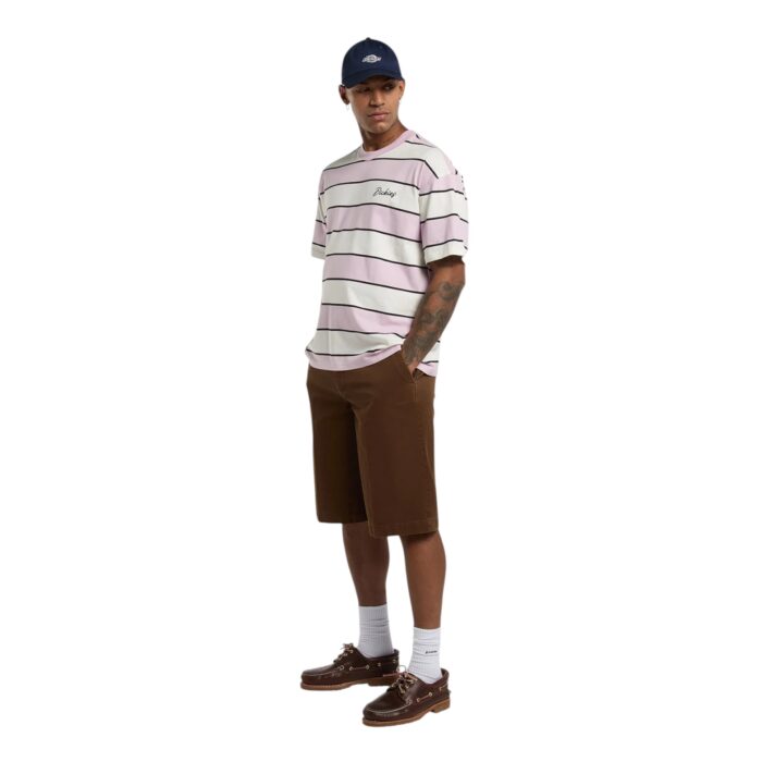 DICKIES EMBROIDERY STRIPE T-SHIRT ECRU - Εικόνα 5