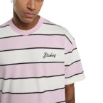 DICKIES EMBROIDERY STRIPE T-SHIRT ECRU - Εικόνα 3