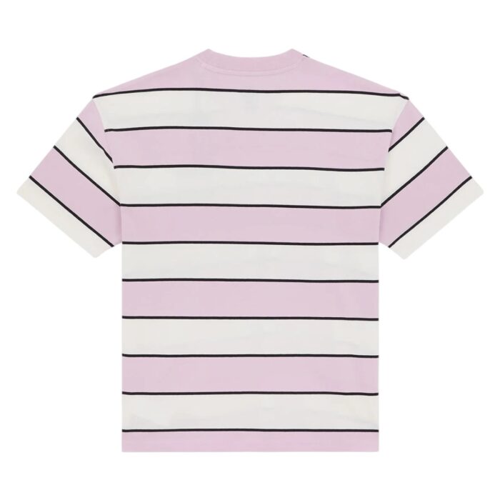 DICKIES EMBROIDERY STRIPE T-SHIRT ECRU - Εικόνα 7