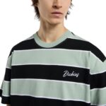 DICKIES EMBROIDERY STRIPE T-SHIRT JADEITE - Εικόνα 4