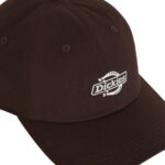 DICKIES ESSENTIAL DAD CAP CHOCOLATE BROWN - Image 3