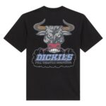 DICKIES LAKERIDGE T-SHIRT BLACK - Εικόνα 7