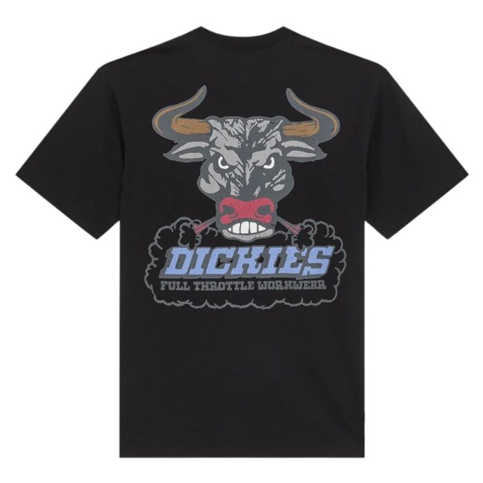 DICKIES LAKERIDGE T-SHIRT BLACK - Εικόνα 7