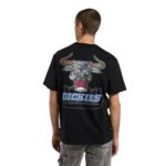 DICKIES LAKERIDGE T-SHIRT BLACK - Εικόνα 2