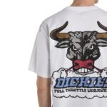 DICKIES LAKERIDGE T-SHIRT WHITE - Εικόνα 4
