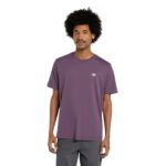 DICKIES MAPLETON T-SHIRT VINTAGE VIOLET - Image 3