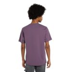 DICKIES MAPLETON T-SHIRT VINTAGE VIOLET - Image 4