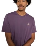 DICKIES MAPLETON T-SHIRT VINTAGE VIOLET - Image 5