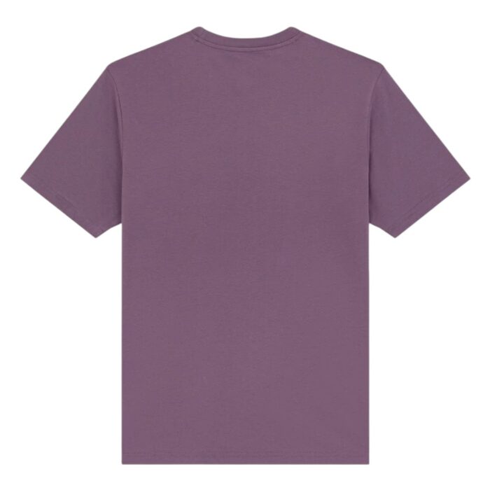 DICKIES MAPLETON T-SHIRT VINTAGE VIOLET - Image 2