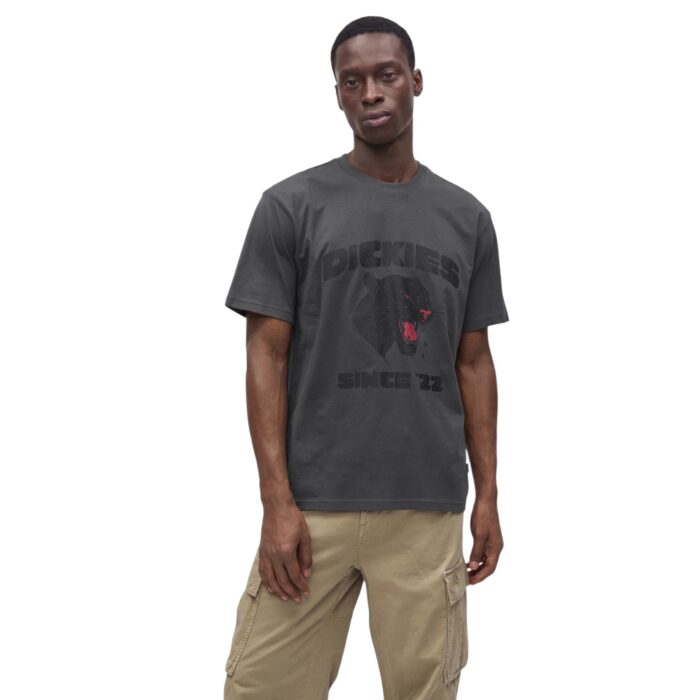 DICKIES MCDERMITT T-SHIRT CHARCOAL - Image 3