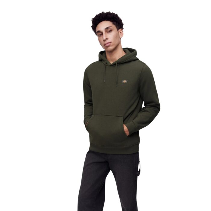 DICKIES OAKPORT HOODIE DEEP DEPTHS - Εικόνα 3