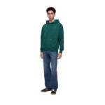 DICKIES SUTCLIFFE HOODIE DARK GREEN - Εικόνα 5