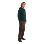 VOLCOM SINGLE STONE HOODIE SCARAB - Image 6