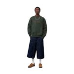CARHARTT WIP CARHARTT SWEATSHIRT DARK SCARAB PALISANDER - Εικόνα 5