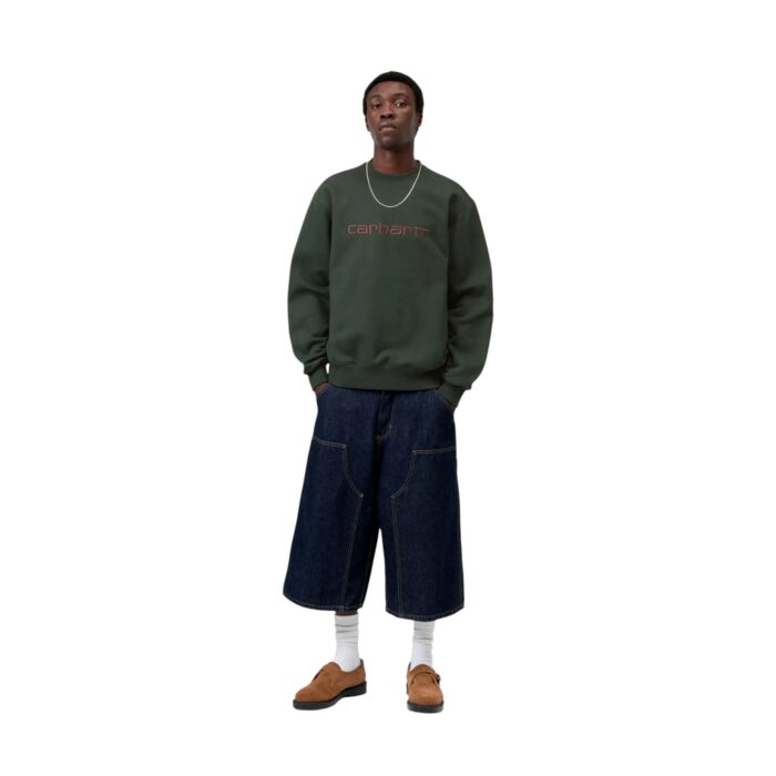CARHARTT WIP CARHARTT SWEATSHIRT DARK SCARAB PALISANDER - Εικόνα 5