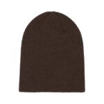 DC SCULLY BEANIE COFFEE BEAN - Εικόνα 2