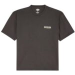DICKIES AVONDALE T-SHIRT BLACK