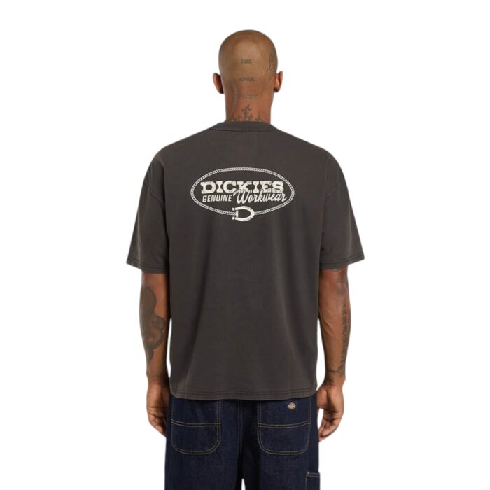 DICKIES AVONDALE T-SHIRT BLACK - Εικόνα 3