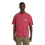 DICKIES AVONDALE T-SHIRT DEEP CLARET - Εικόνα 3