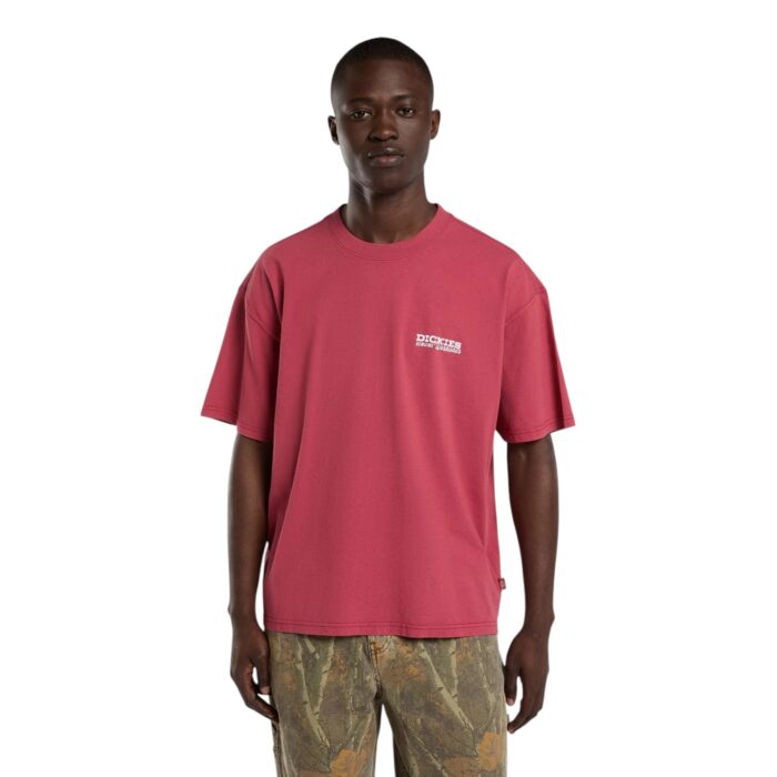 DICKIES AVONDALE T-SHIRT DEEP CLARET - Εικόνα 3