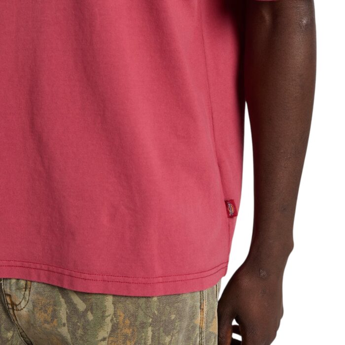 DICKIES AVONDALE T-SHIRT DEEP CLARET - Εικόνα 7