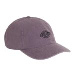 DICKIES DUCK CANVAS DAD CAP VINTAGE VIOLET