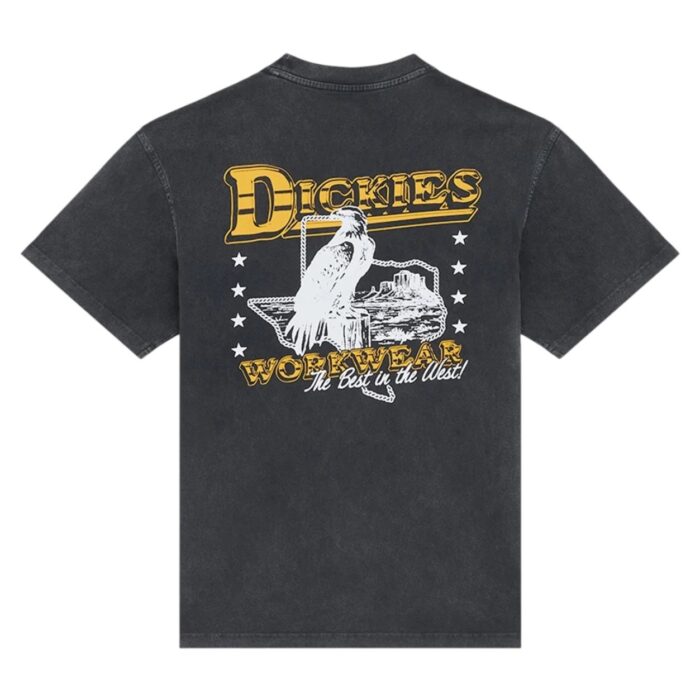 DICKIES GAINESVILLE T-SHIRT BLACK - Εικόνα 2