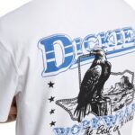 DICKIES GAINESVILLE T-SHIRT WHITE - Εικόνα 7