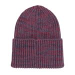 DICKIES LEWISTOWN BEANIE VINTAGE VIOLET - Εικόνα 2
