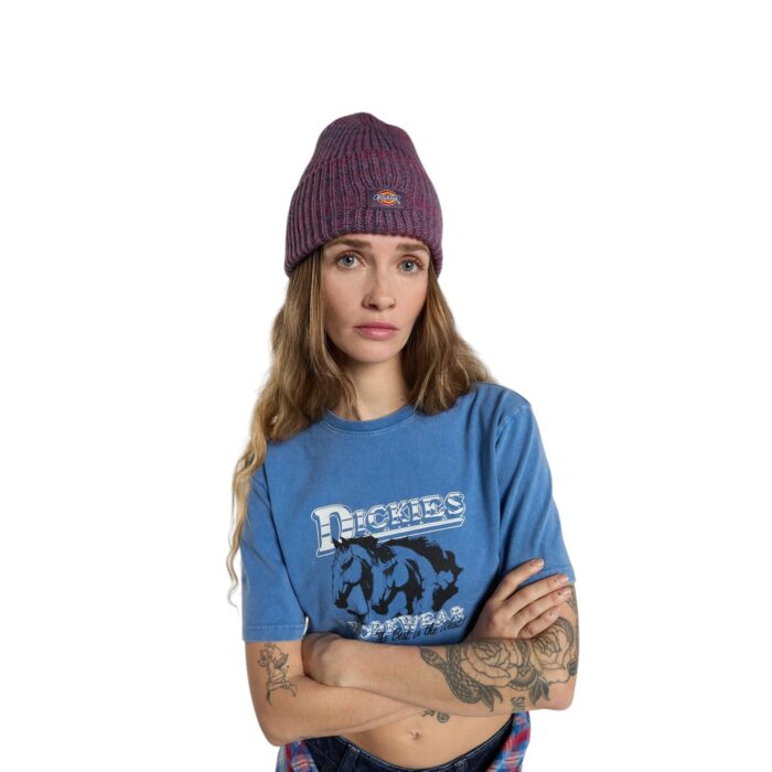 DICKIES LEWISTOWN BEANIE VINTAGE VIOLET - Εικόνα 5