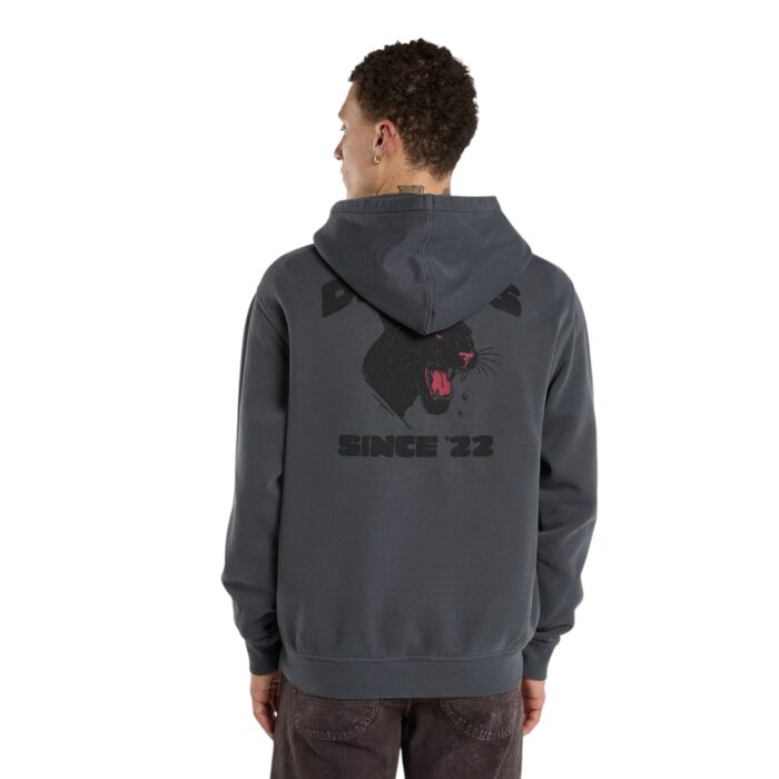 DICKIES MCDERMITT HOODIE CHARCOAL - Εικόνα 2