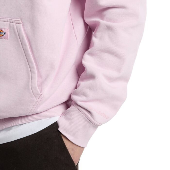 DICKIES SUTCLIFFE HOODIE FRAGRANT LILAC - Εικόνα 3